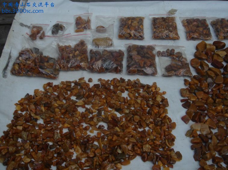 DSC02342_调整大小.JPG