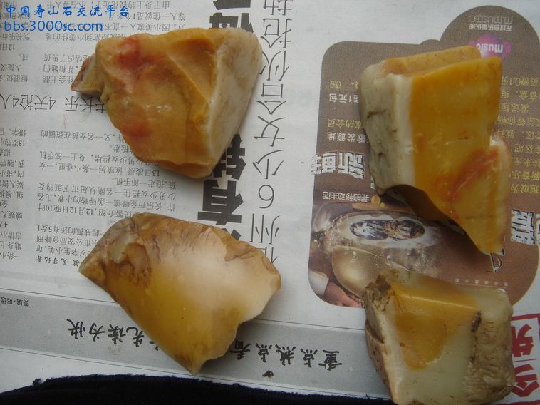 DSC02363_调整大小.JPG