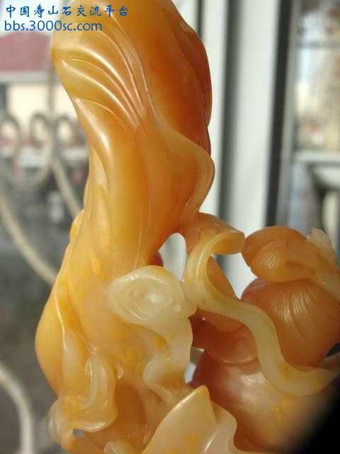 亡羊补牢 009.jpg