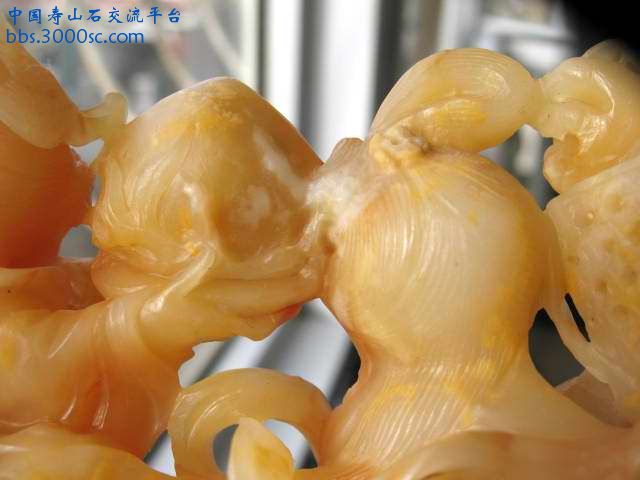 亡羊补牢 011.jpg