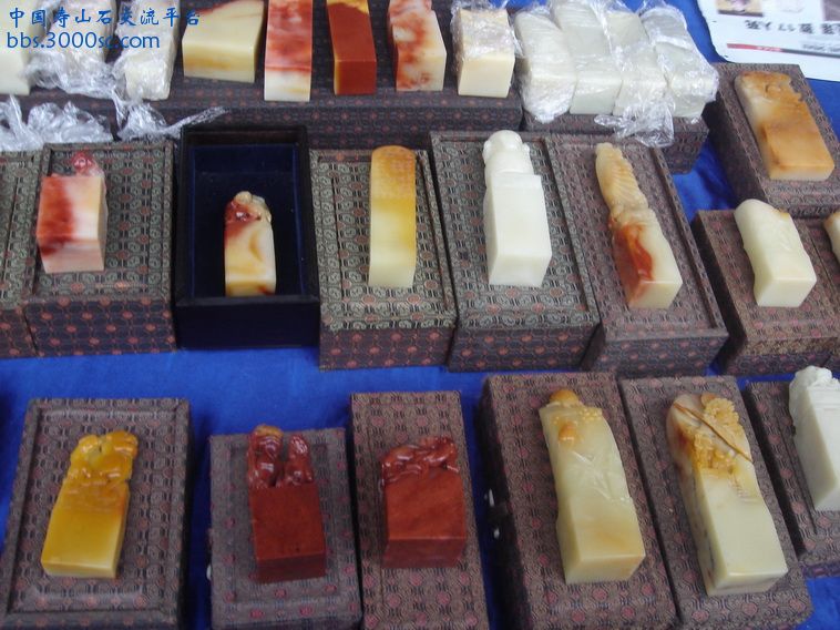 DSC02482_调整大小.JPG