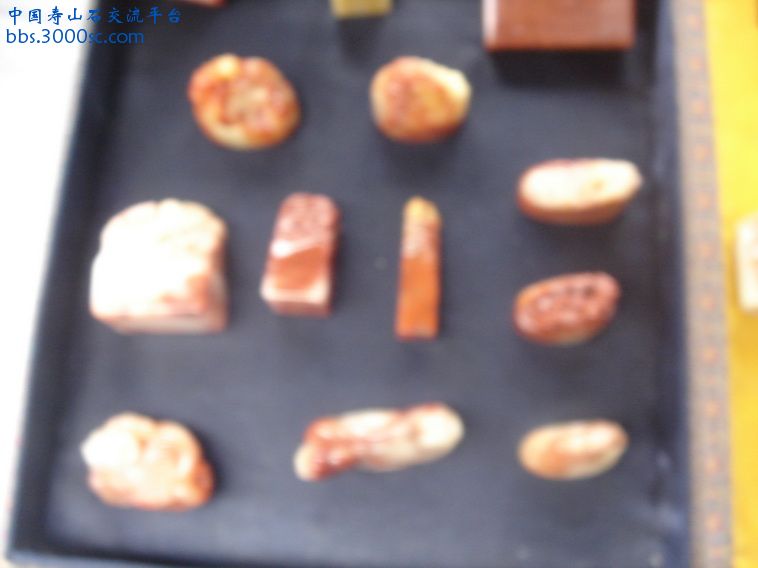 DSC02496_调整大小.JPG