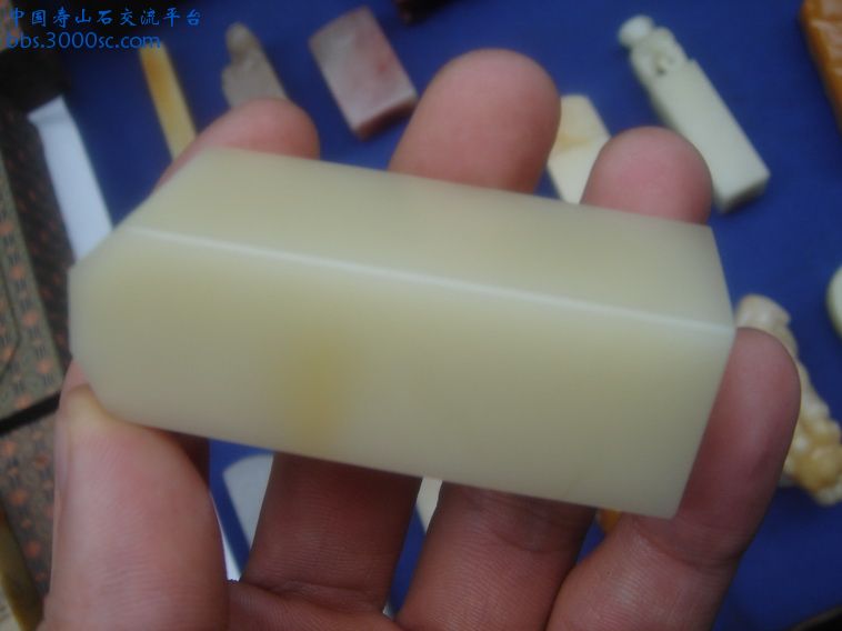 DSC02617_调整大小.JPG