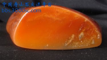 RIMG0088.JPG