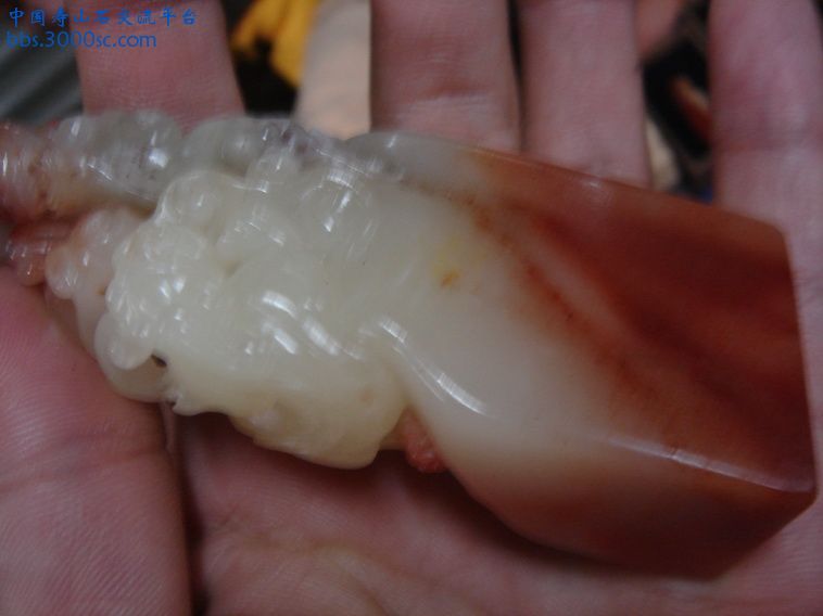 DSC02559_调整大小.JPG
