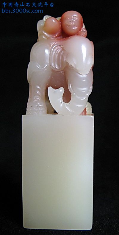 aIMG_3947.jpg