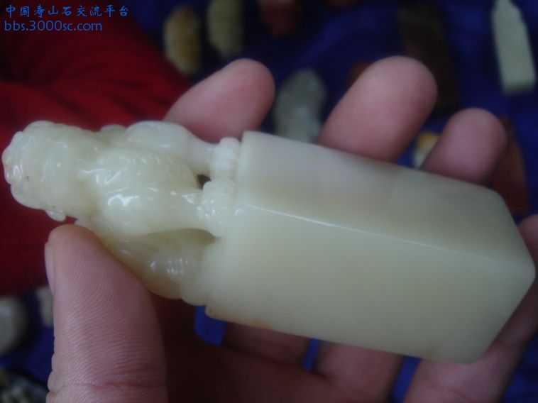 DSC02649_调整大小.JPG