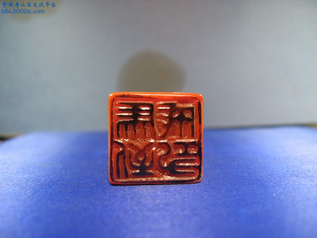 李紅善伯-5.JPG
