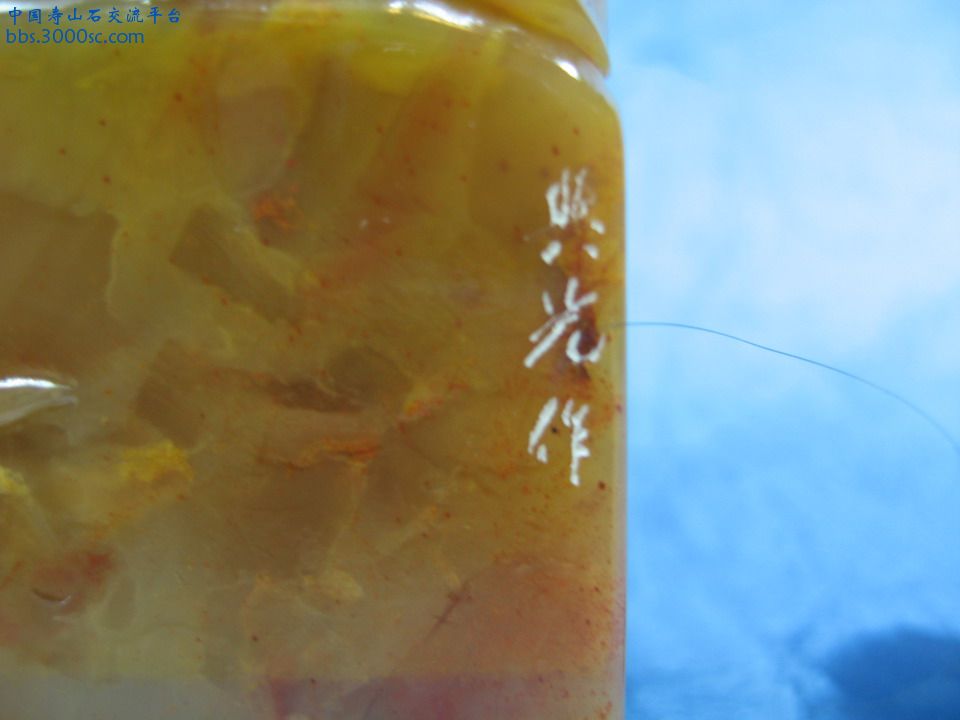 鍾魁-5.JPG