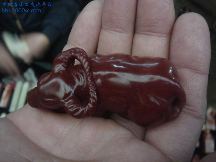 DSC02756_缩小大小.JPG