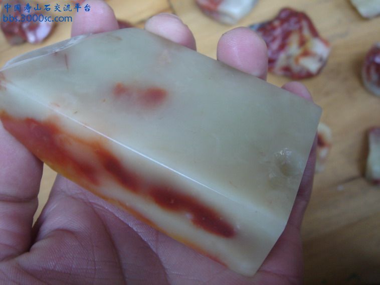 DSC02810_缩小大小.JPG