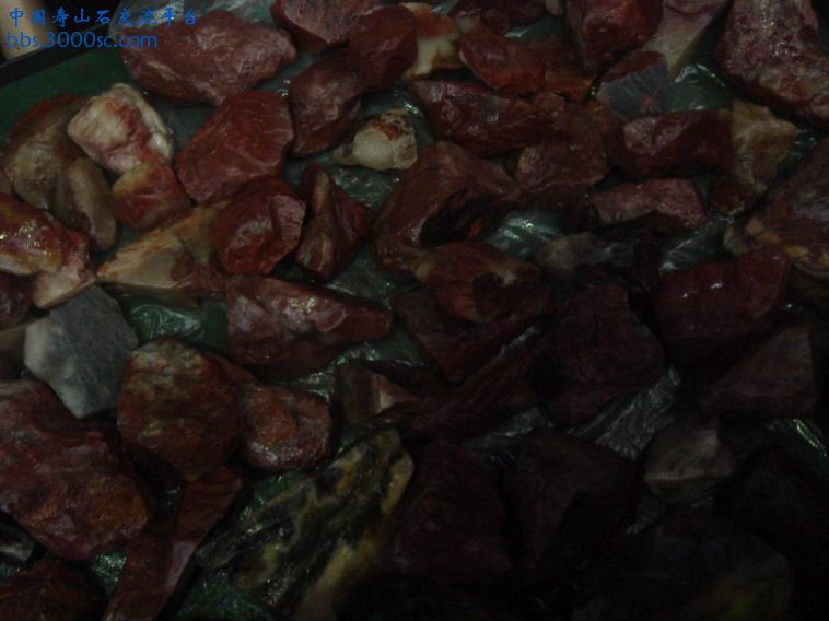 DSC02715_缩小大小.JPG