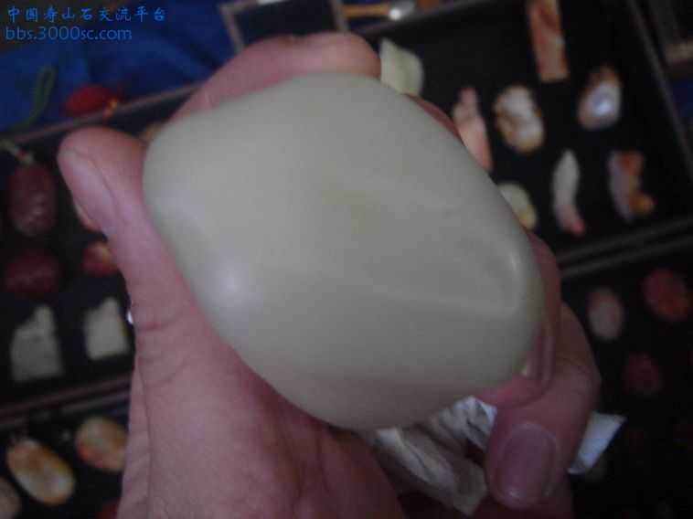 DSC02693_缩小大小.JPG