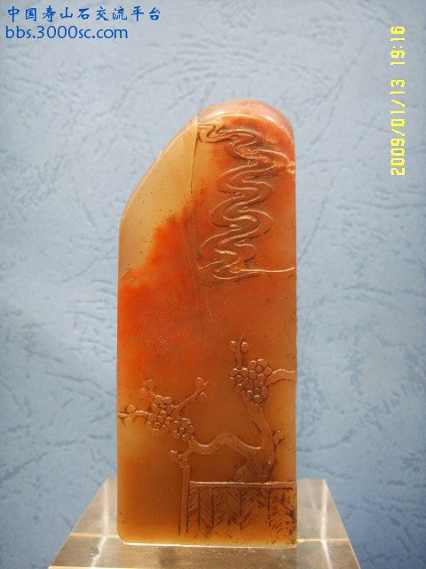 SSL13962.JPG