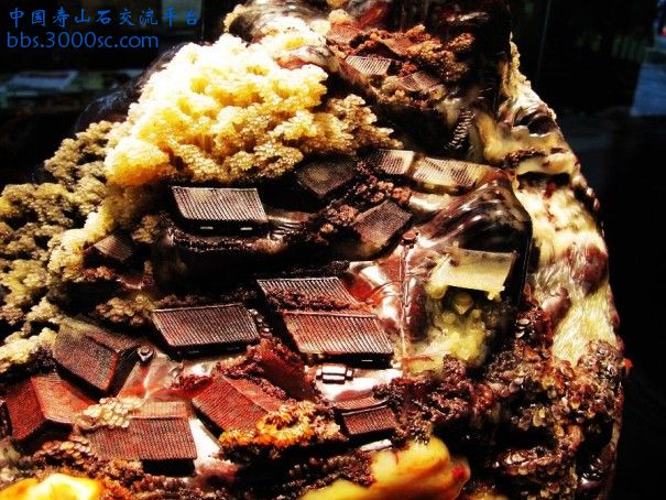 命名7.jpg