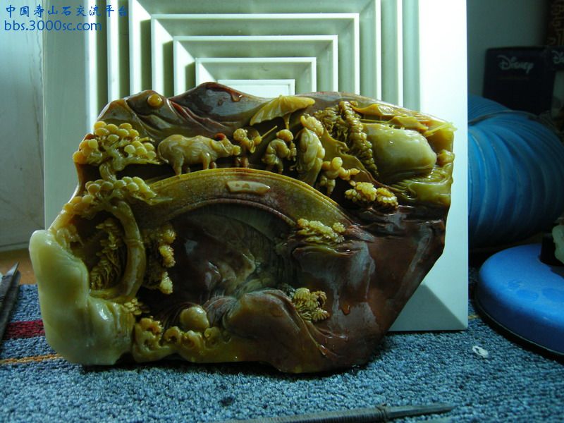 DSCN4617.JPG
