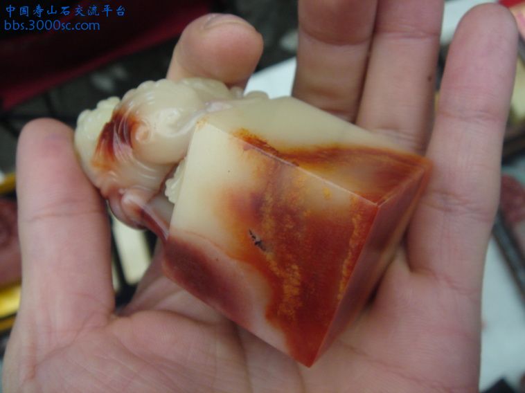 DSC02889_调整大小.JPG
