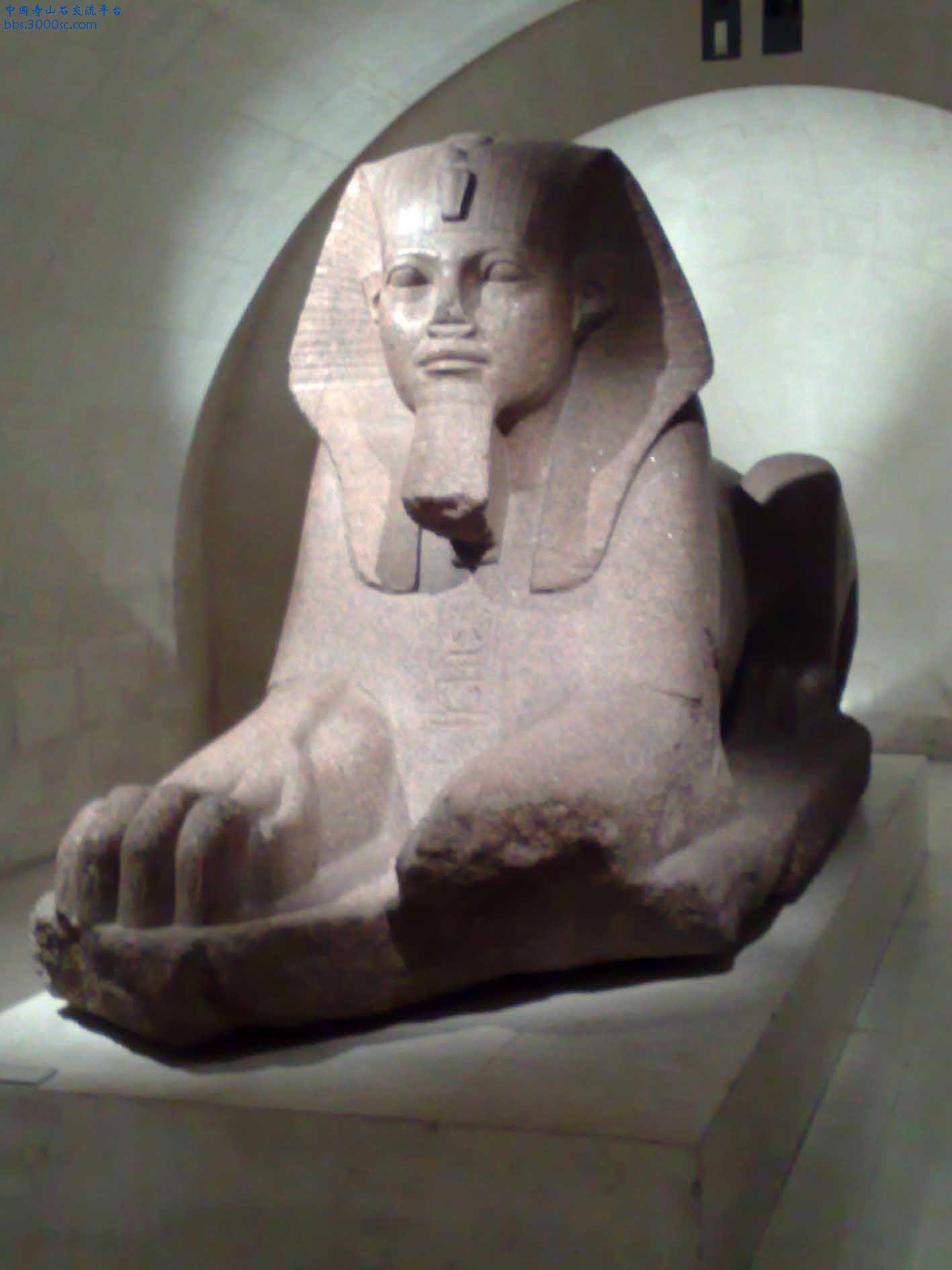法國羅浮宮內雕像-07-埃及戰利品.jpg
