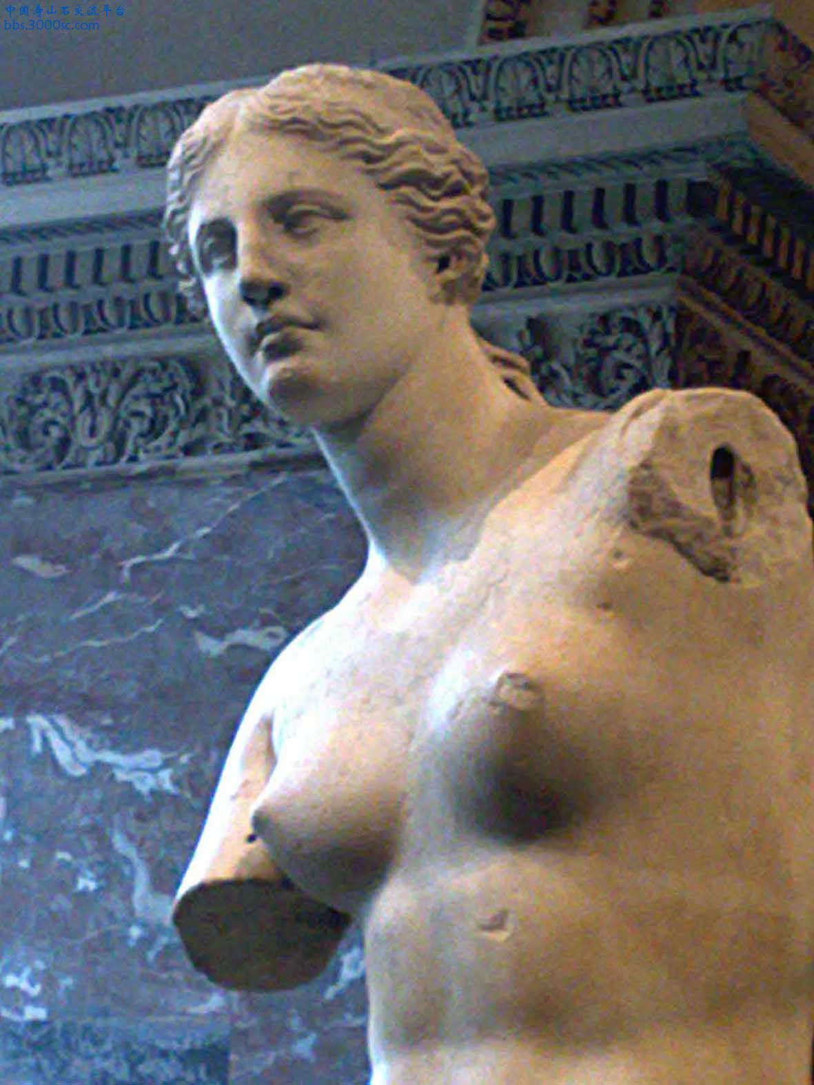 法國羅浮宮維納斯雕像-03.jpg