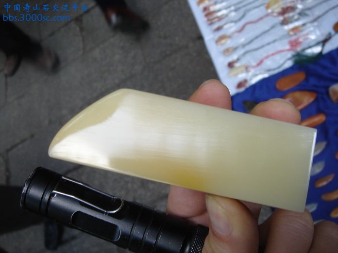 DSC03140_调整大小.JPG