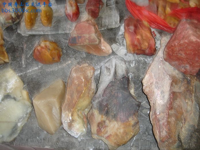 DSC03135_调整大小.JPG