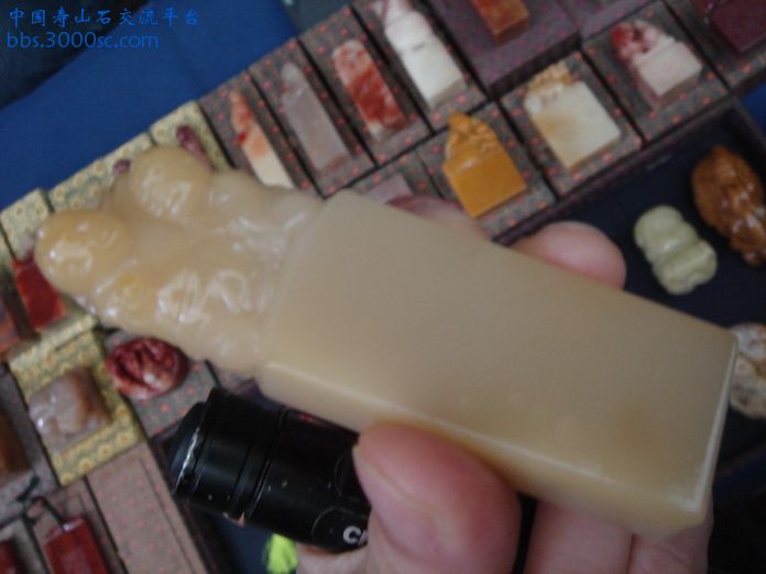 DSC03142_调整大小.JPG
