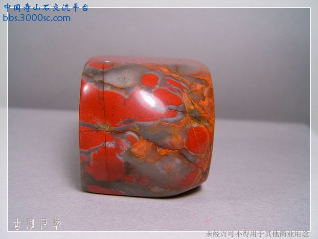 SUC32070.jpg