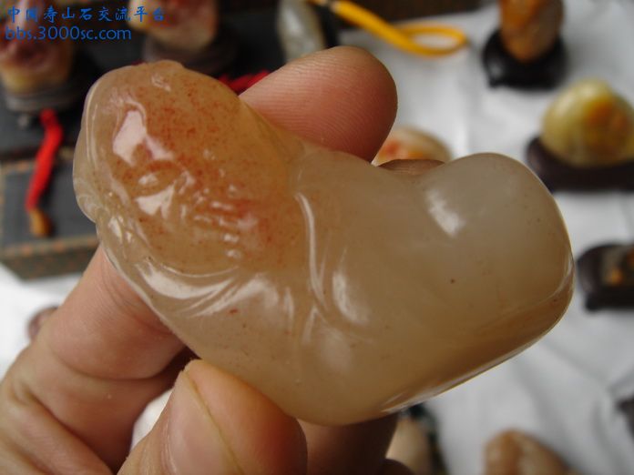 DSC03300_调整大小.JPG