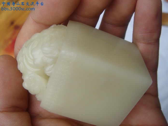DSC03432_调整大小.JPG