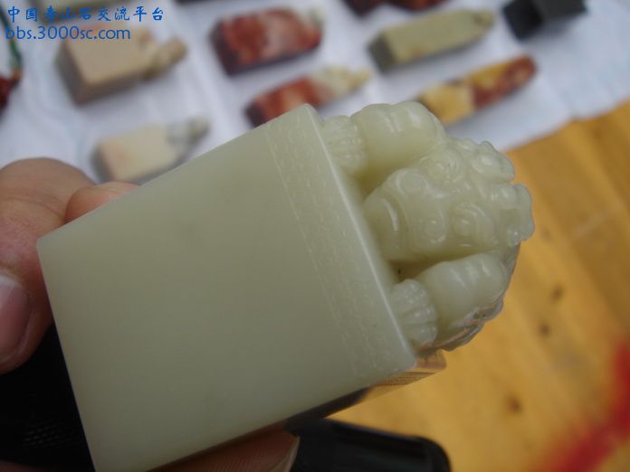 DSC03430_调整大小.JPG