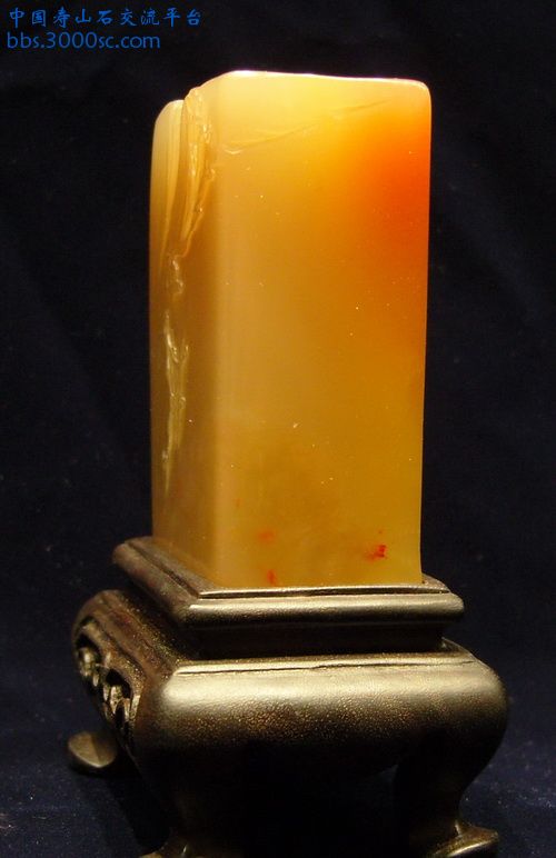 SNC10154.jpg