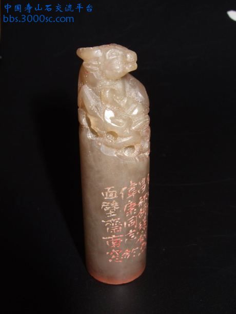 qingtian jelly1（调整）.jpg
