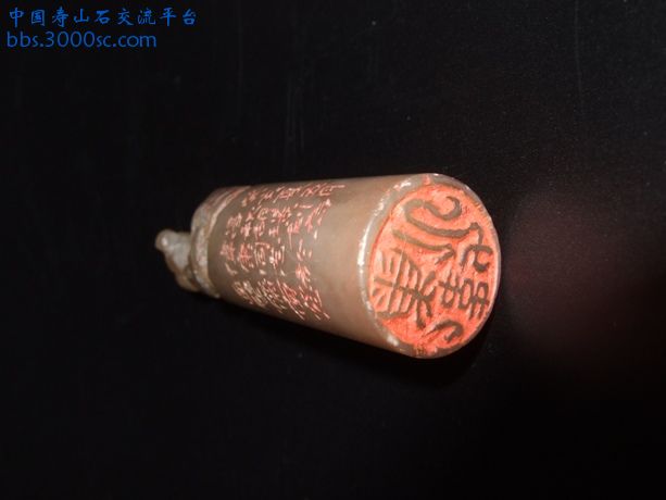 qingtian jelly3（调整）.jpg
