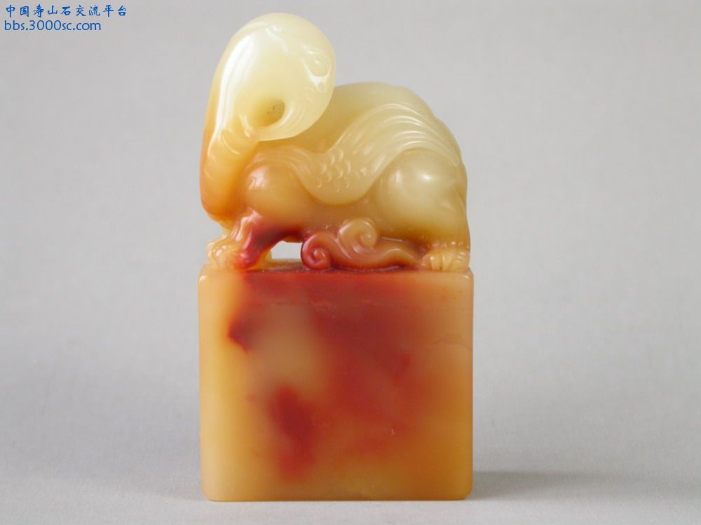 DSCN2719_调整大小.JPG