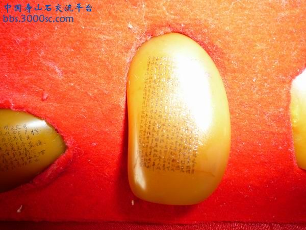 调整大小 P1010579.JPG
