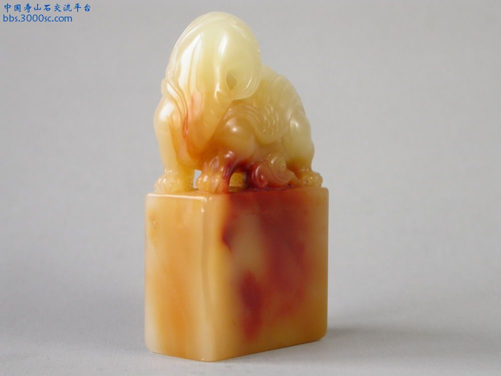 DSCN2721_调整大小.JPG