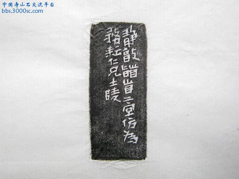 IMG_7027_调整大小.JPG