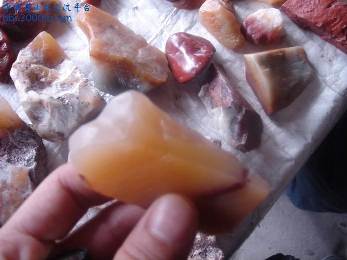 DSC03603_调整大小.JPG