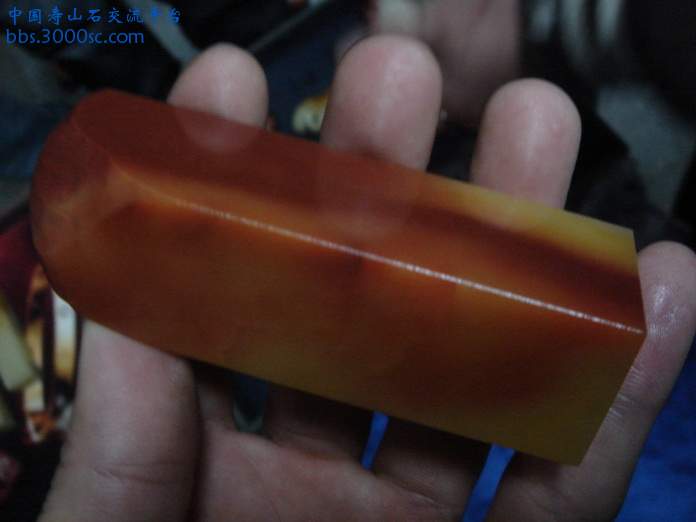 DSC03513_调整大小.JPG