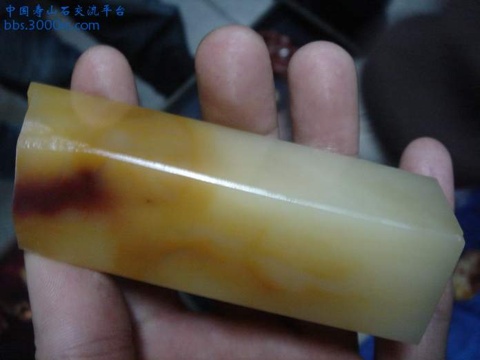 DSC03509_调整大小.JPG
