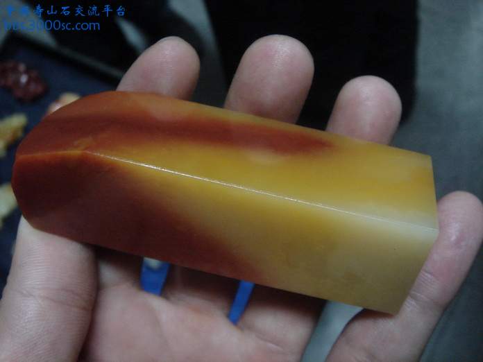 DSC03514_调整大小.JPG