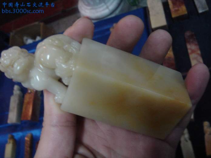 DSC03518_调整大小.JPG