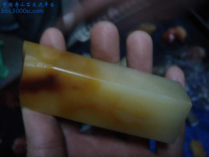 DSC03508_调整大小.JPG