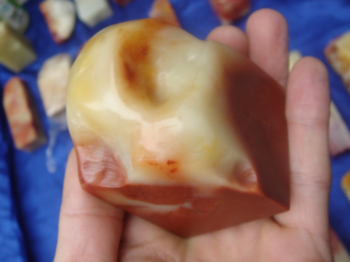 DSC03742_调整大小.JPG