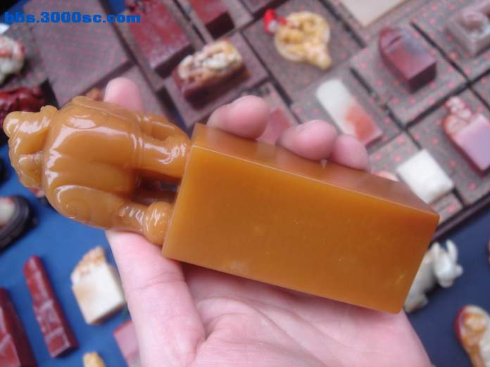 DSC03767_调整大小.JPG