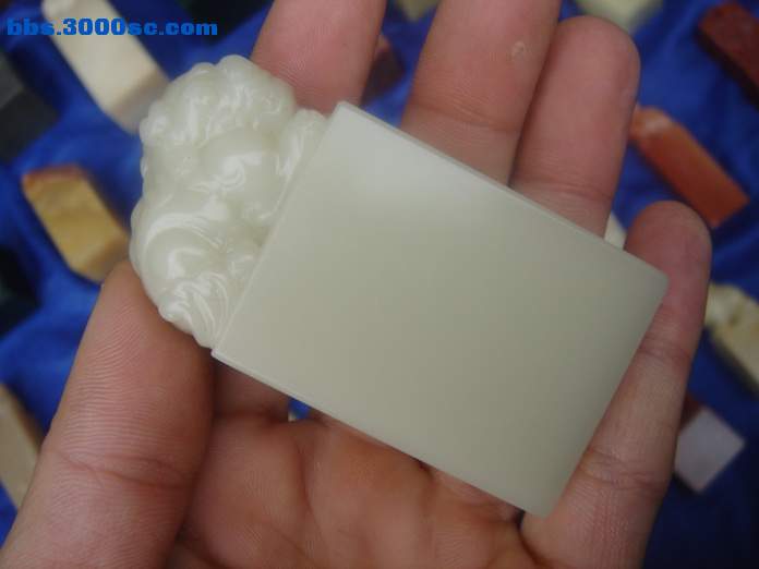 DSC03769_调整大小.JPG