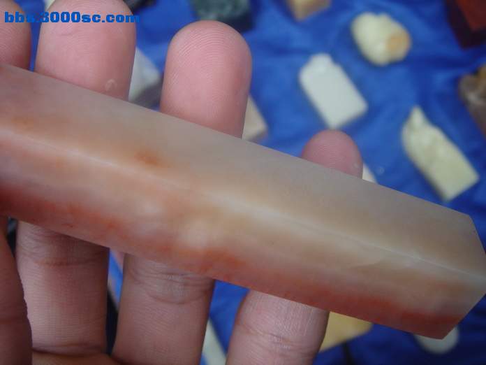 DSC03772_调整大小.JPG