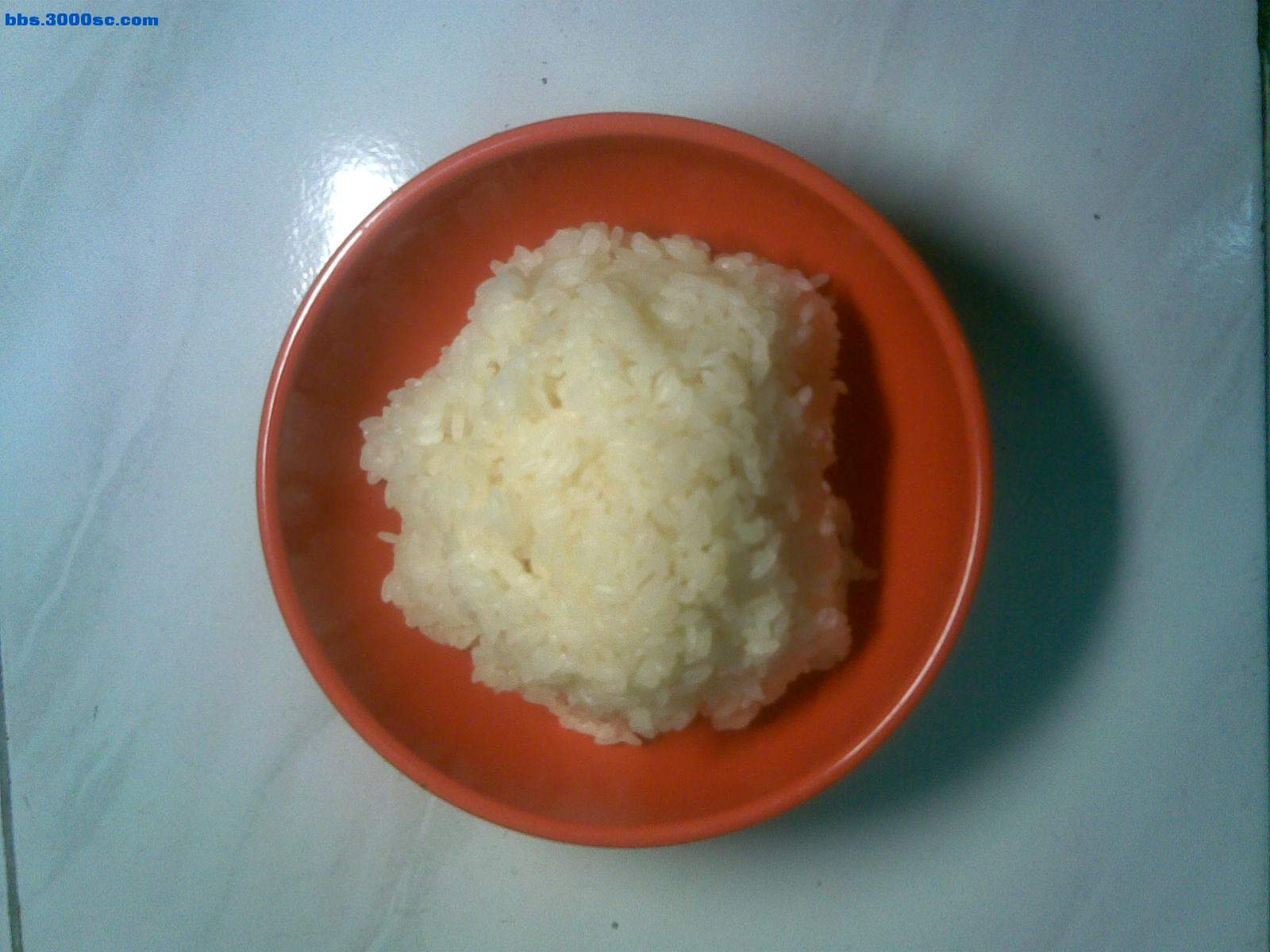 20090222(001).jpg