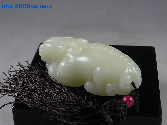 s11014.jpg