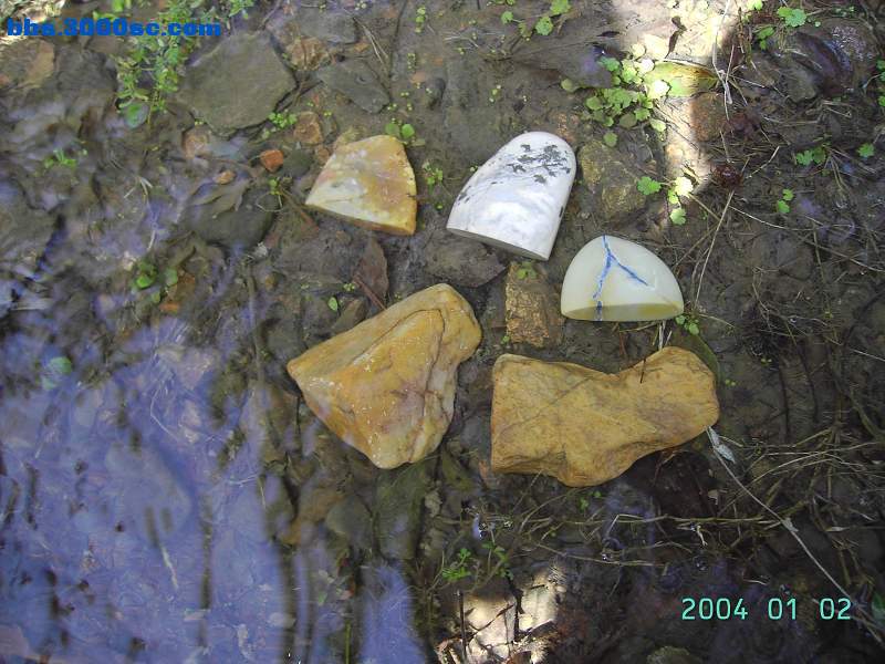 石头就是这样拣来的，呵呵！ 014.jpg
